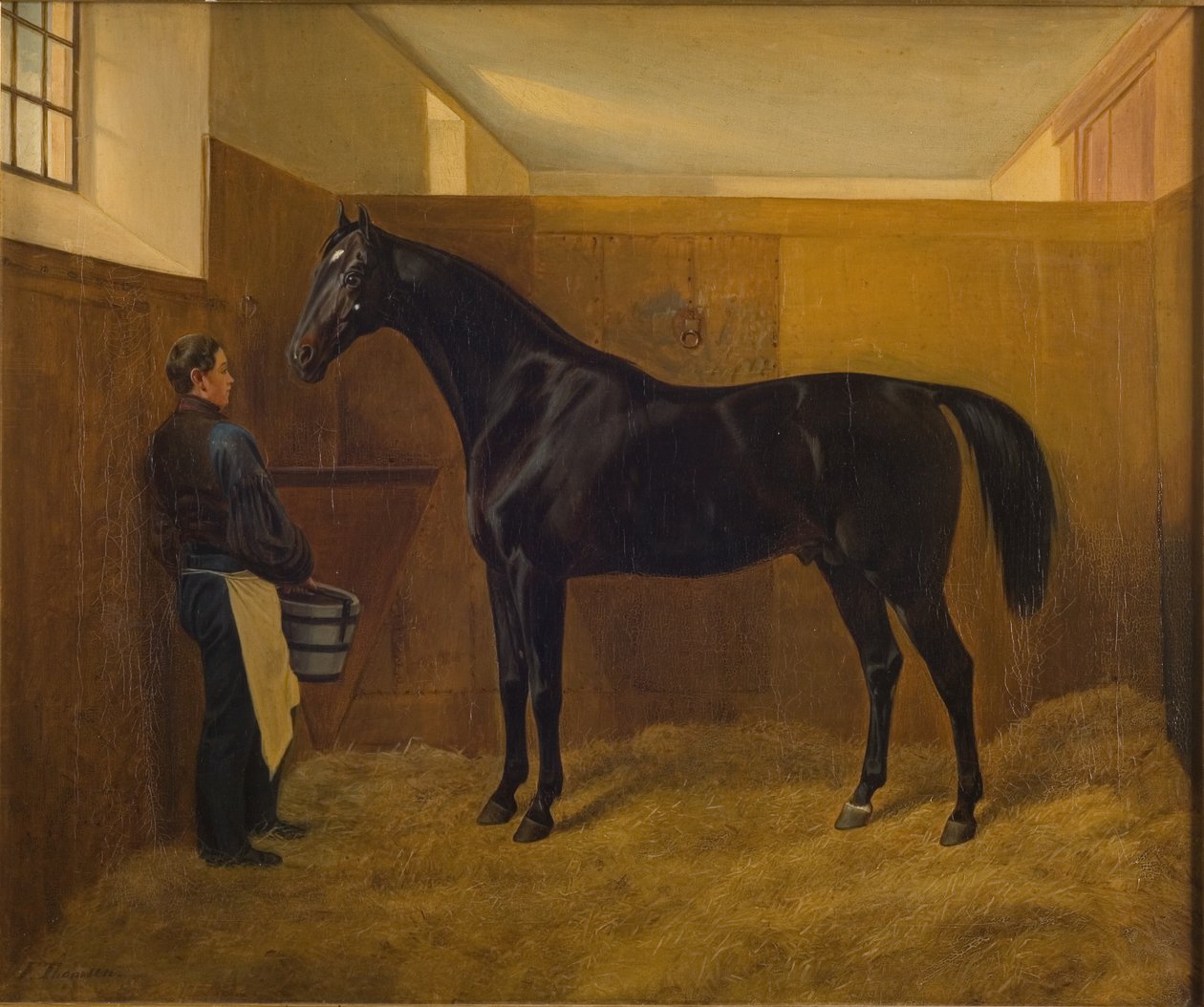 Zampa da Fritz Thomsen