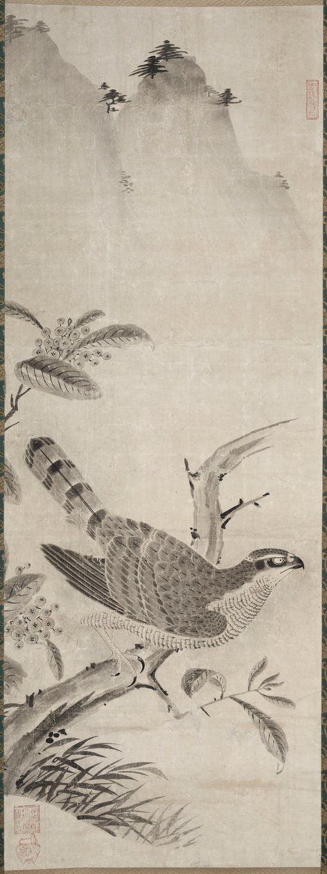 Falco da Fujiwara Masayoshi