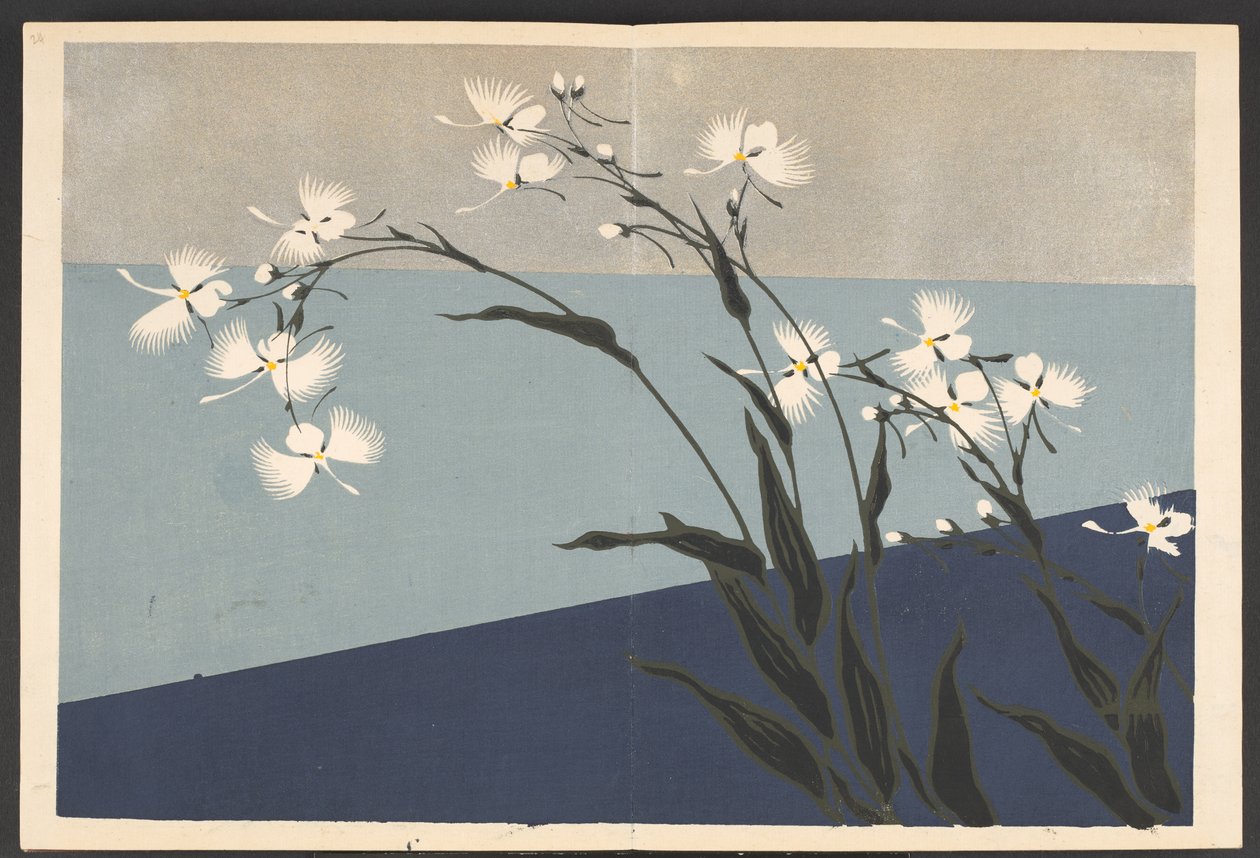Shasei sôka môyô, Modelli di piante e fiori dal vivo da Furuya Korin