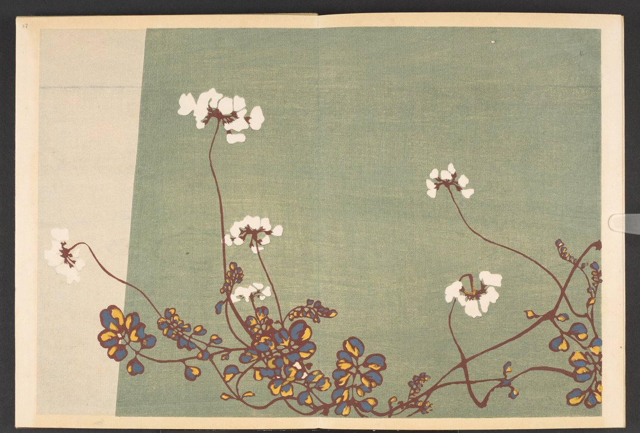 Shasei sôka môyô, Modelli di piante e fiori dal vivo da Furuya Korin