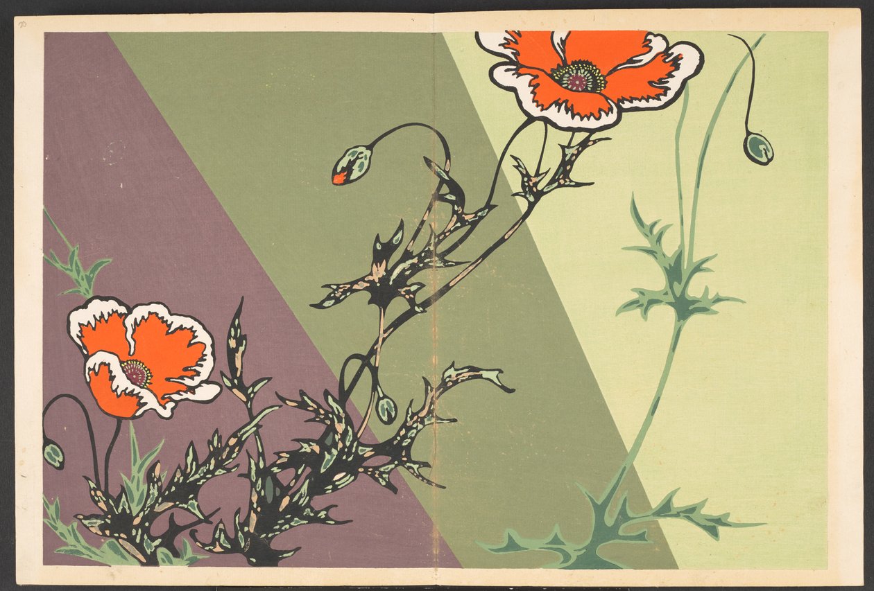 Shasei sôka môyô, Modelli di piante e fiori dal vivo da Furuya Korin