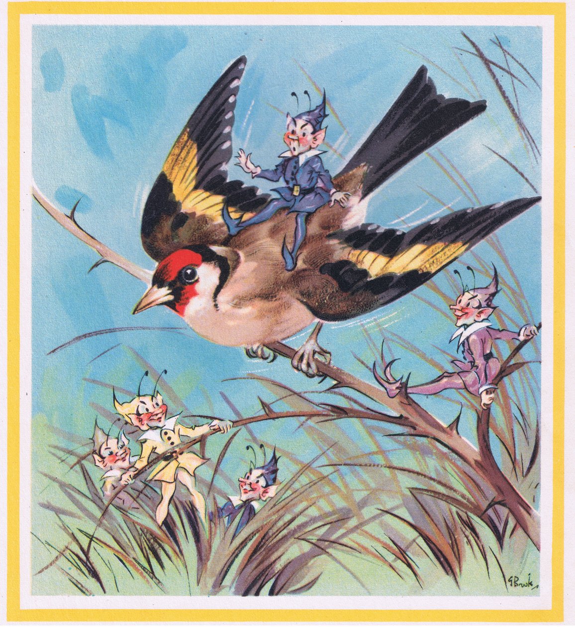 Cardellino da G. Brooks