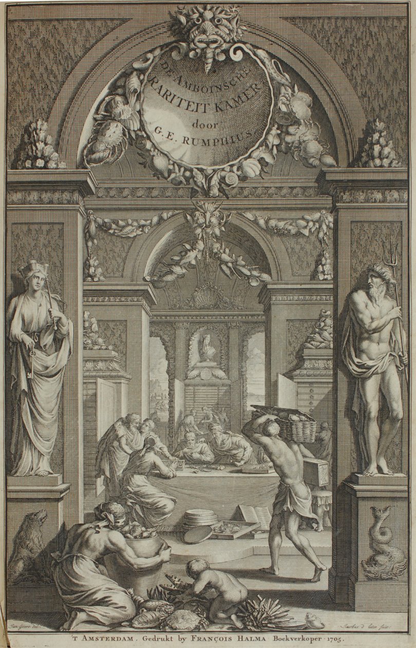 G. E. Rumphius, Amboinische Rariteikammer, Amsterdam 1705 da G. E. Rumphius