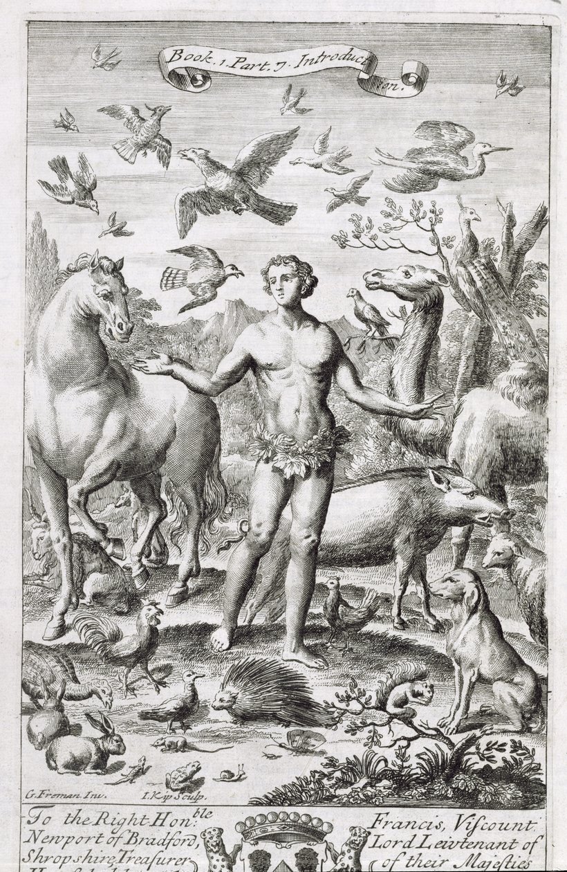 Adamo in Paradiso con gli animali, illustrazione all