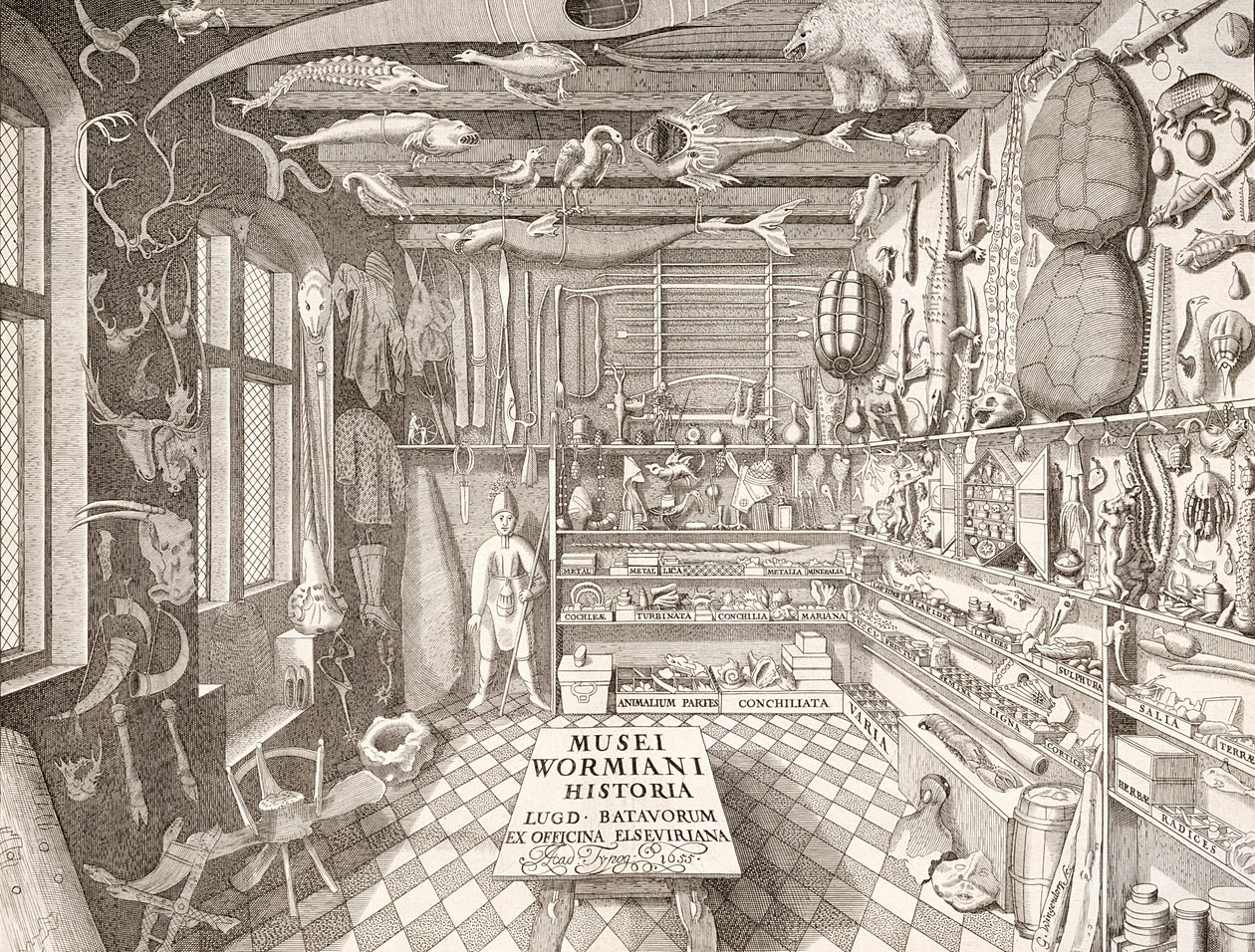 Museo di Ole Worm, Leiden, 1655 da G. Wingendorp