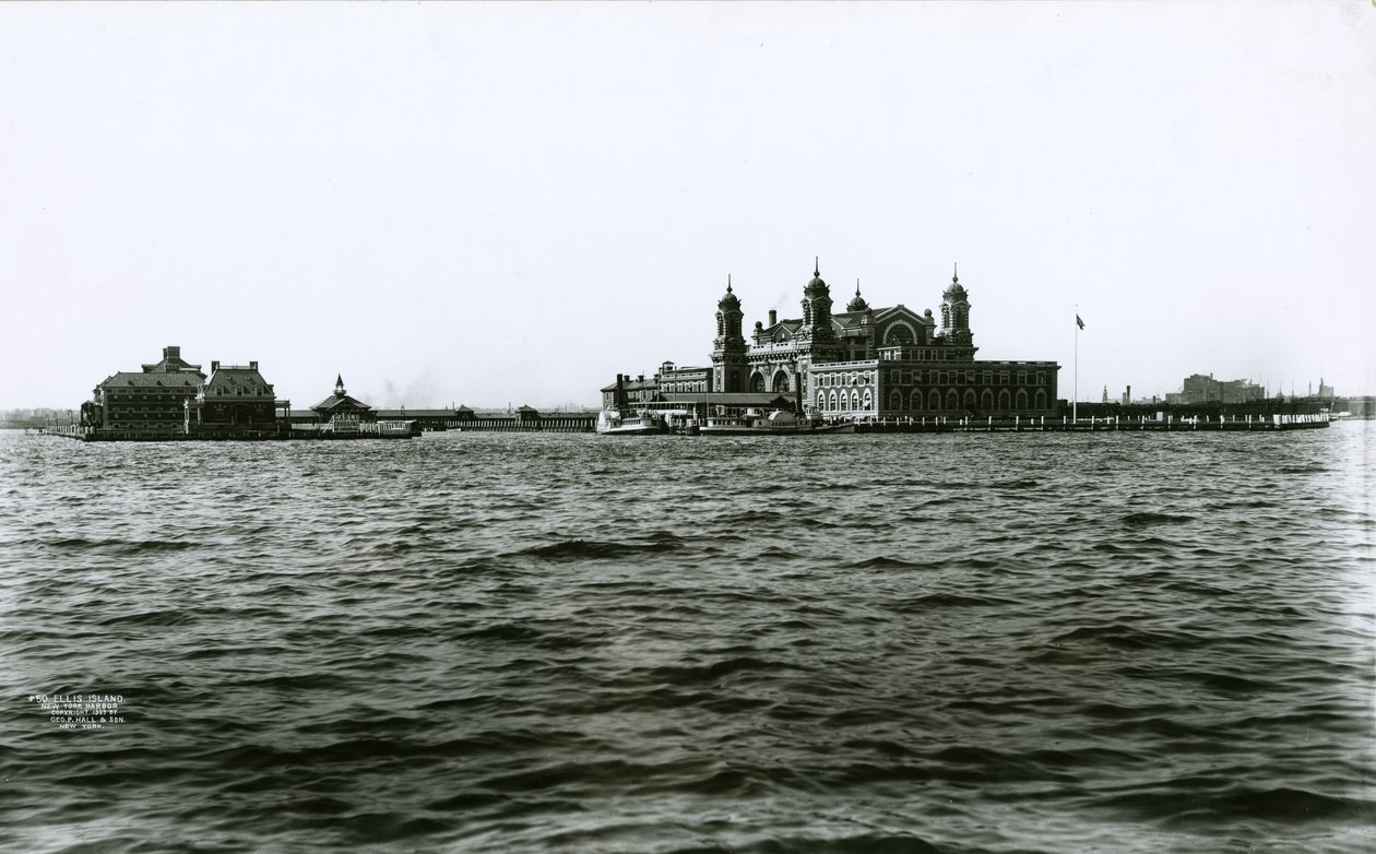 Ellis Island, porto di New York, 1903 da G.P. Hall und Sohn