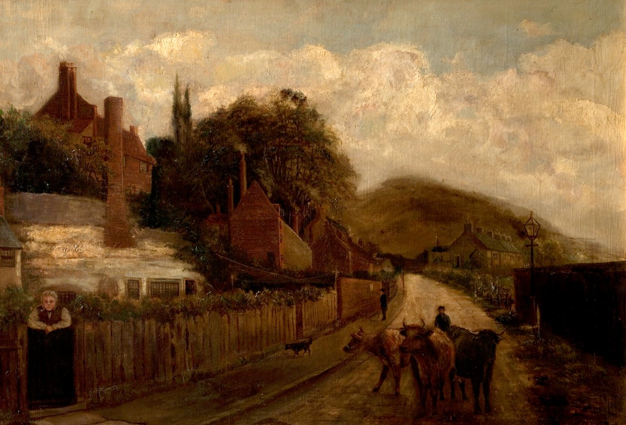 Eremo di Sneinton, Nottingham, 1887 da G.S. Stevenson
