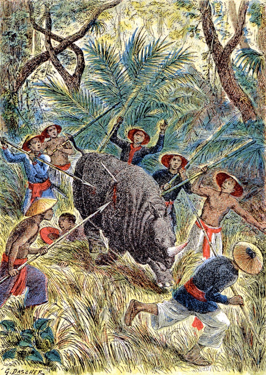 Caccia al rinoceronte, Indocina francese da G. Dascher