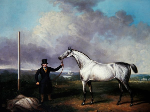 Gentiluomo che tiene un cavallo da corsa grigio su un percorso da G. Jackson