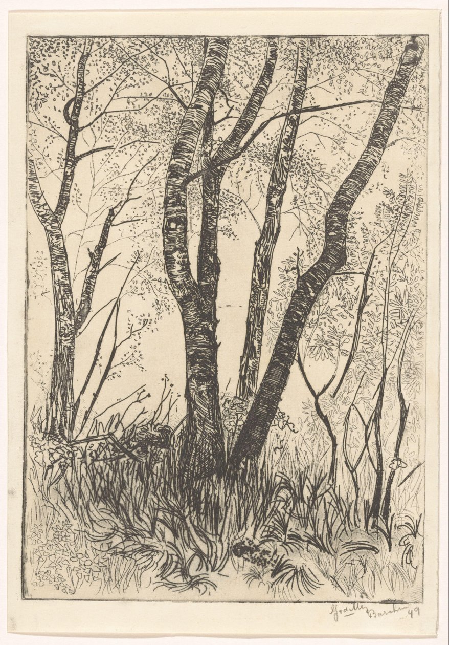 Alberi nell