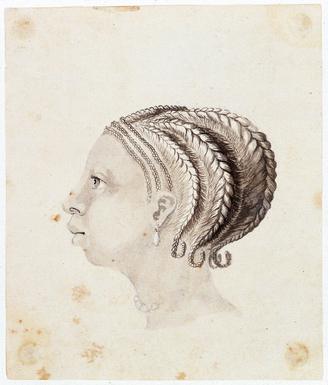 Testa di una donna dell