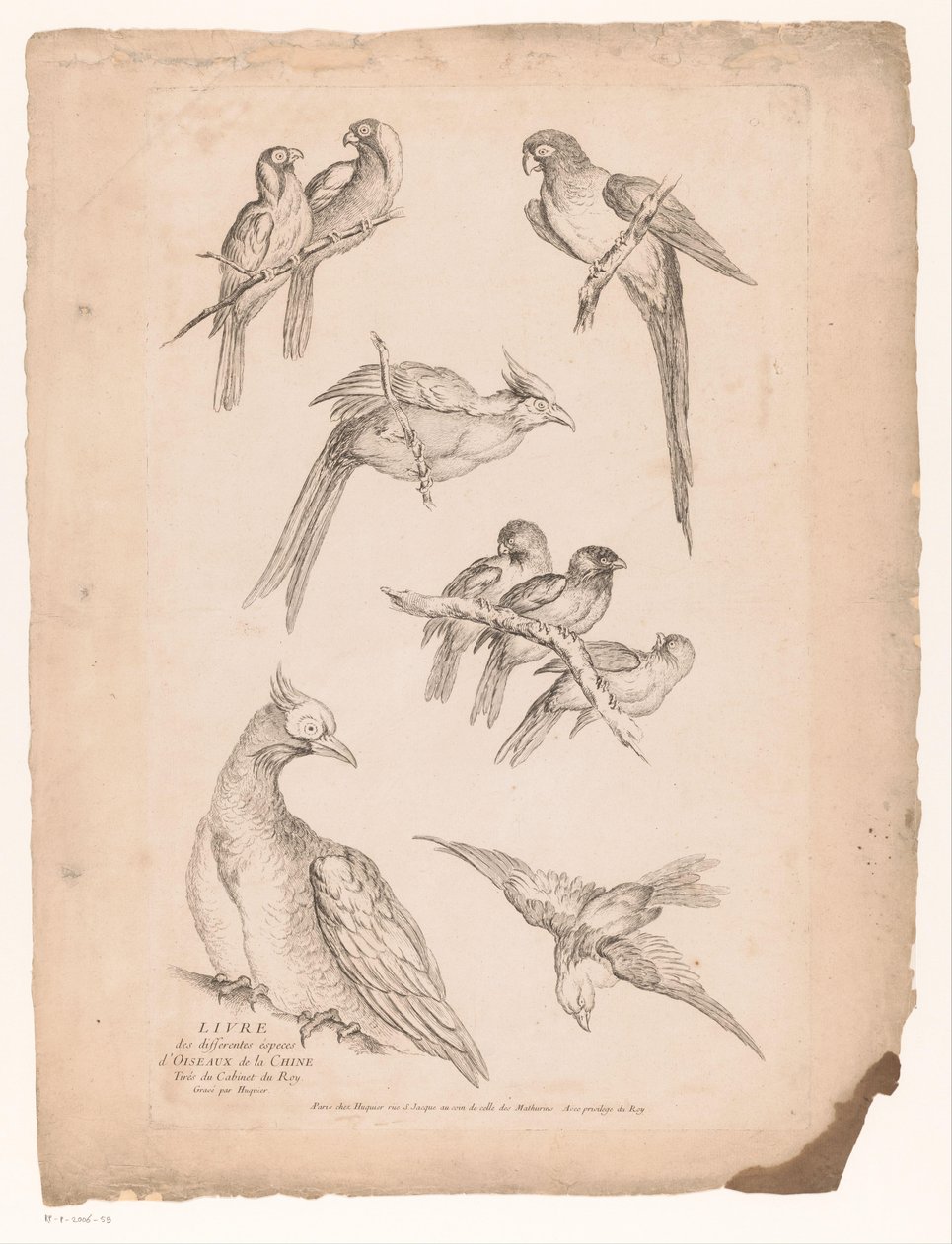 Nove uccelli cinesi da Gabriel Huquier (attributed to)