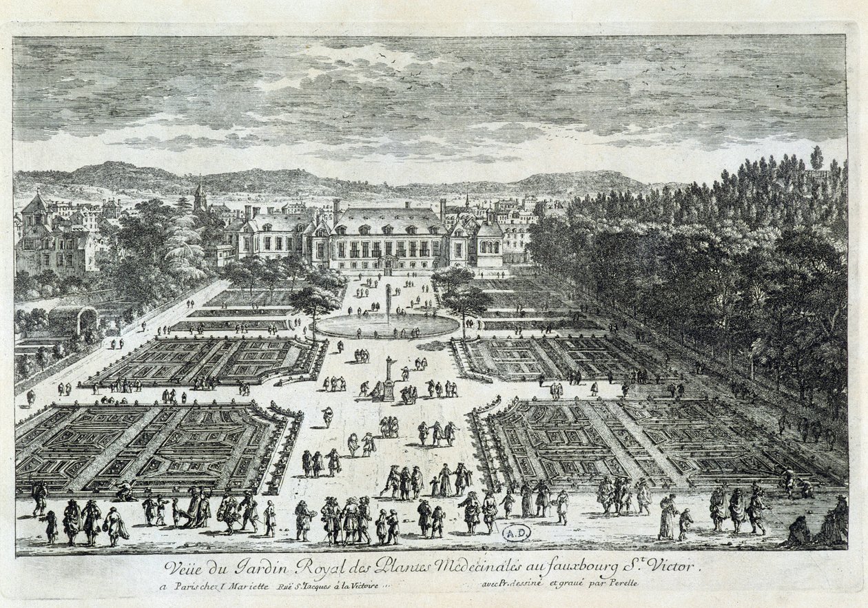 Veduta del Jardin des Plantes nel XVII secolo, di Perelle da Gabriel Perelle
