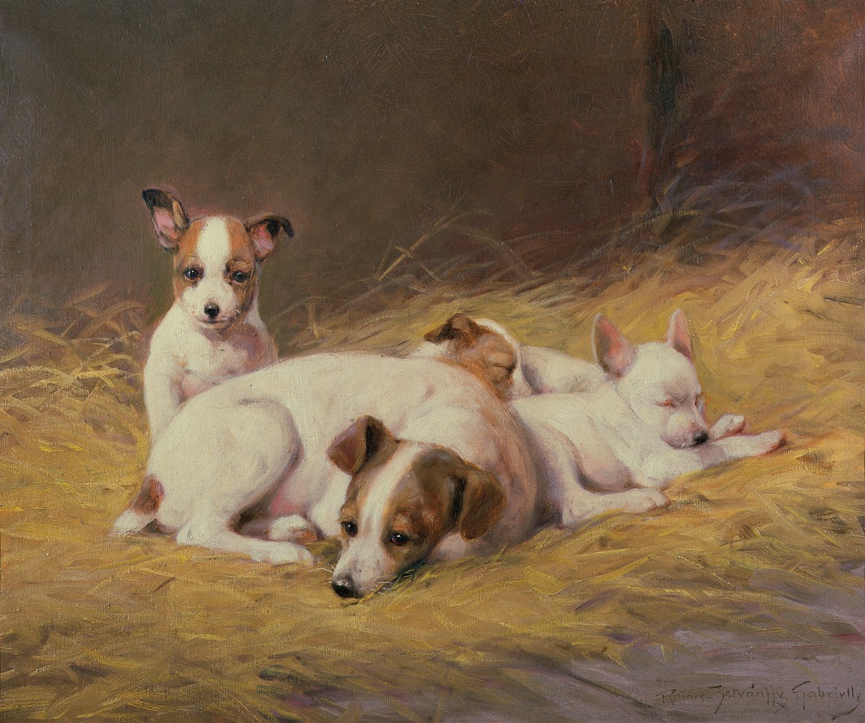 Un terrier con tre cuccioli da Gabrielle Rainer Istuanty