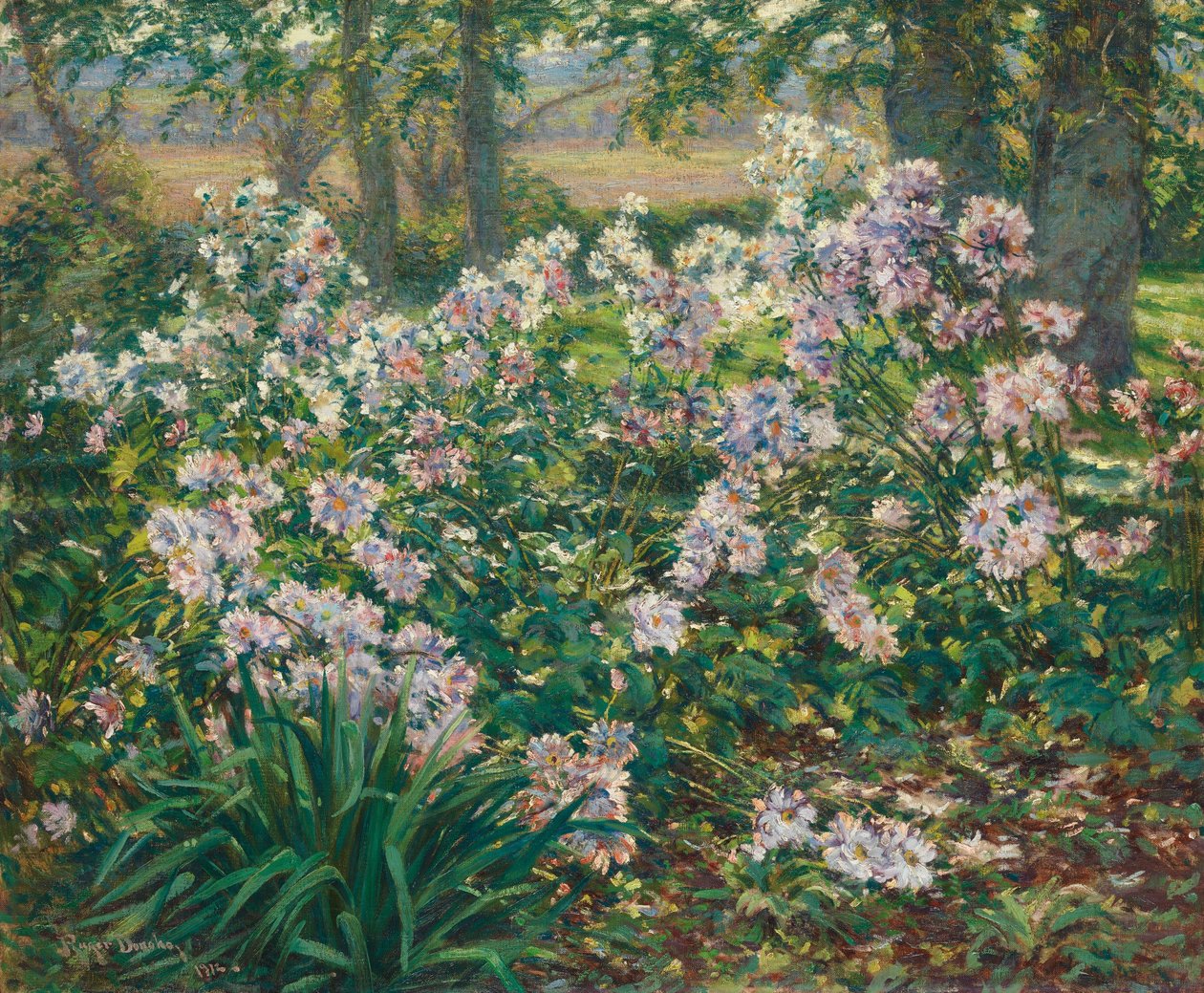 Anemoni da Gaines Ruger Donoho