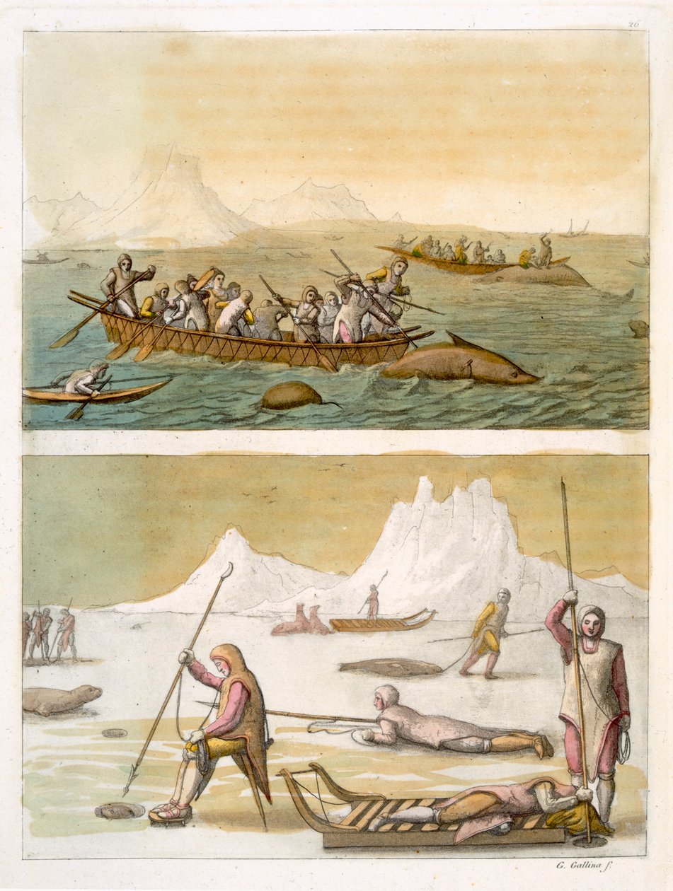 Groenlandia: Pesca alla balena e caccia alla foca, da 