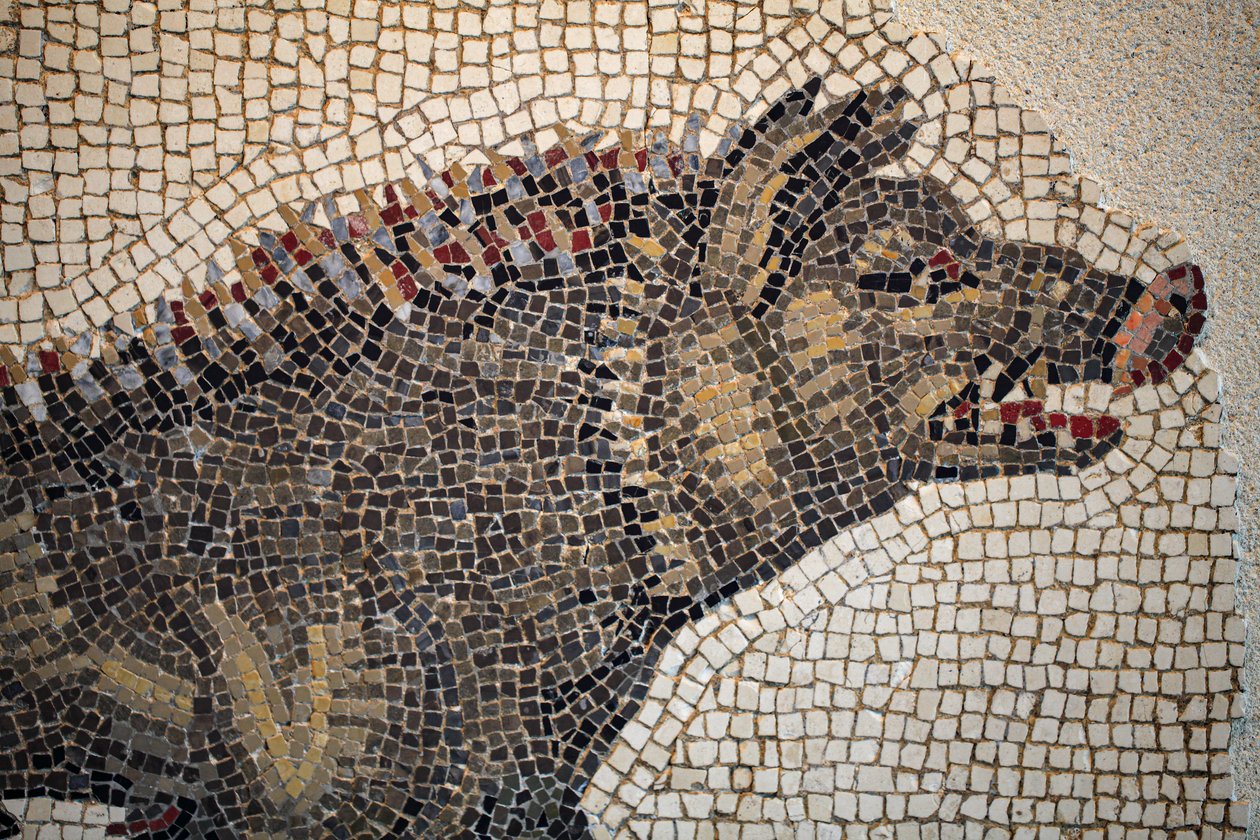 Mosaico romano da Gallo-Roman
