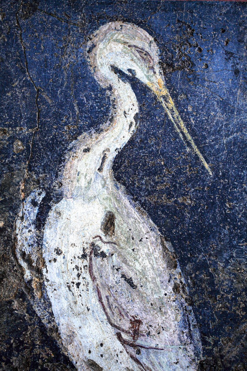 Pittura murale romana da Gallo-Roman