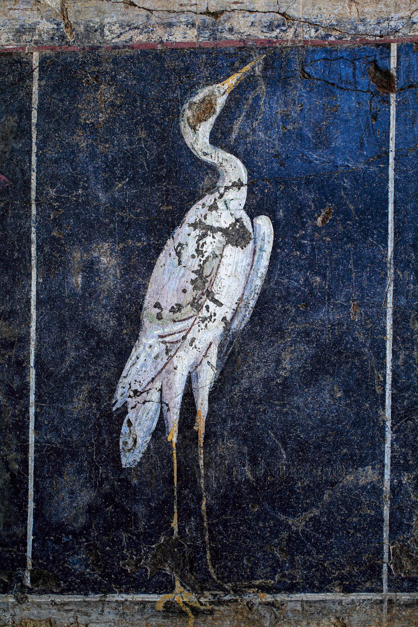 Pittura murale romana da Gallo-Roman