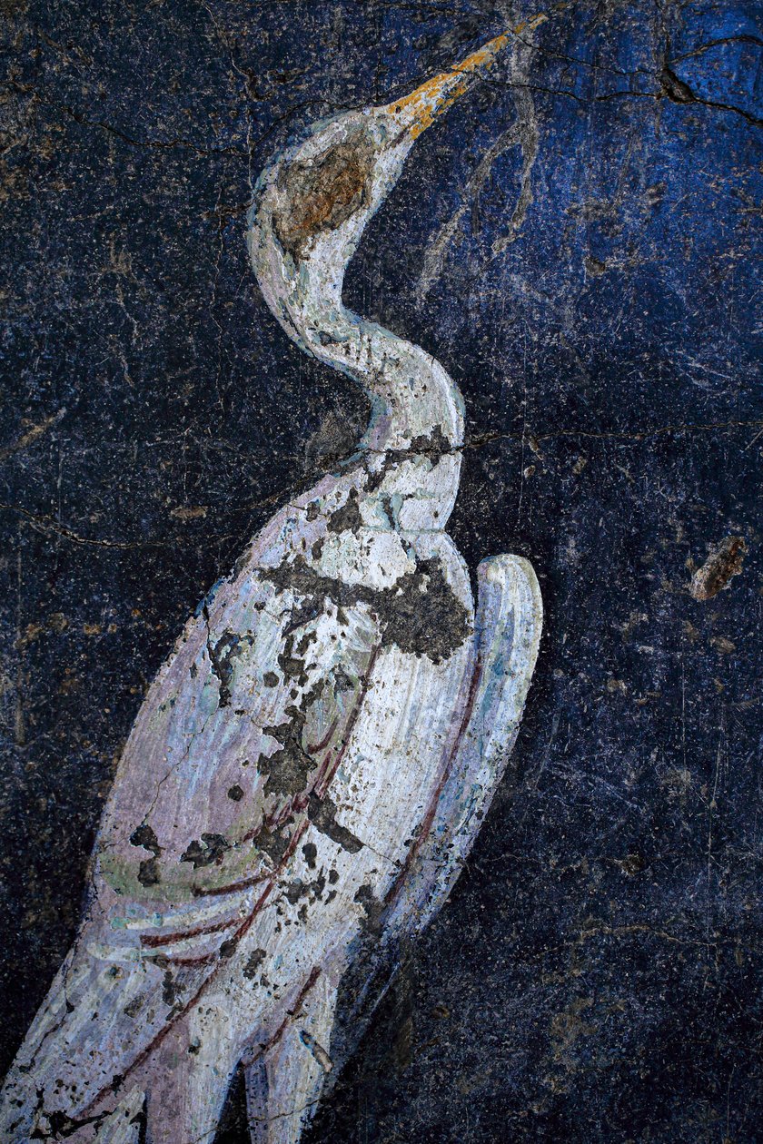 Pittura murale romana da Gallo-Roman