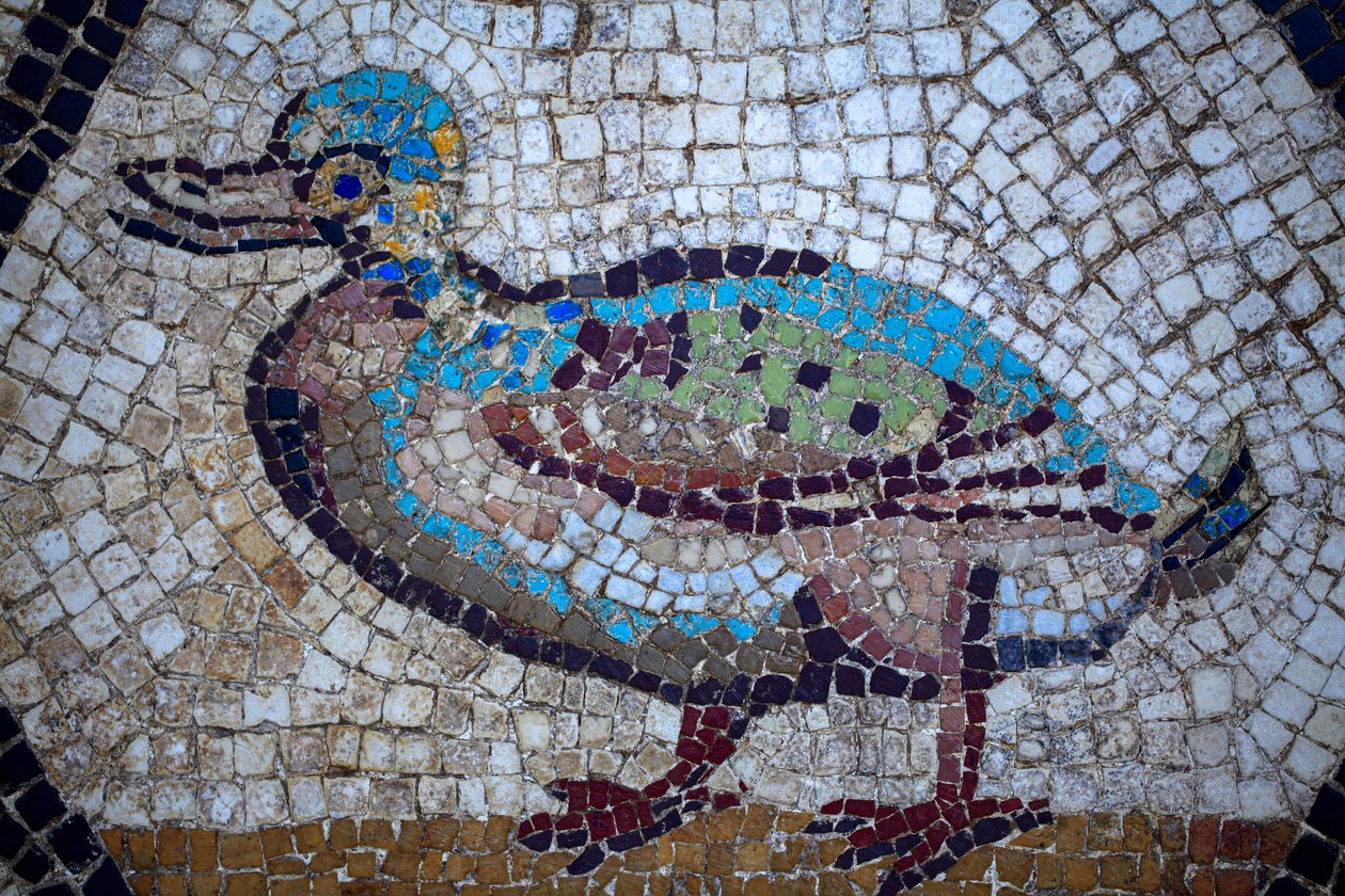 Mosaico romano da Gallo-Roman Gallo-Roman