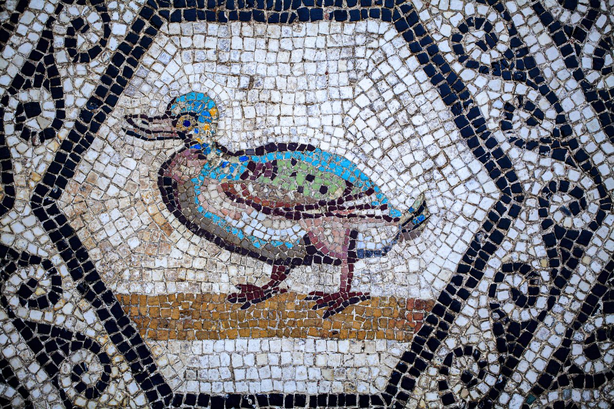 Mosaico romano da Gallo-Roman Gallo-Roman
