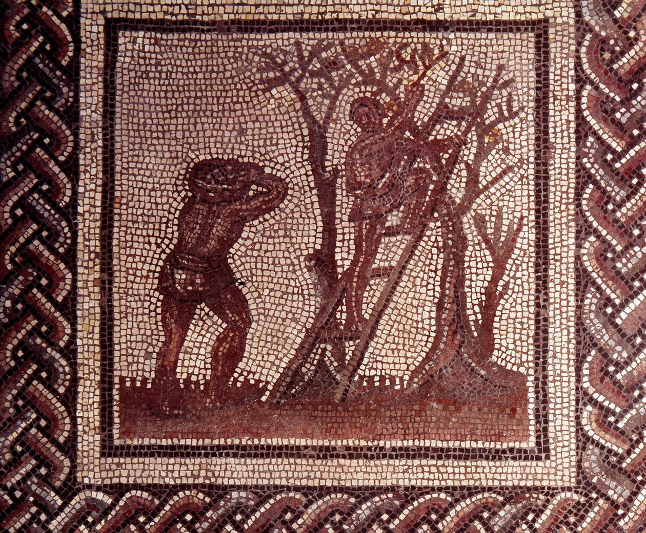 Arte gallo-romana: pavimentazione a mosaico che rappresenta un calendario rustico. Scena di raccolta delle olive. Fine II, inizio III secolo d.C. Da Saint-Romain-en-Gal. Saint Germain en Laye, Museo Nazionale di Archeologia da Gallo Roman