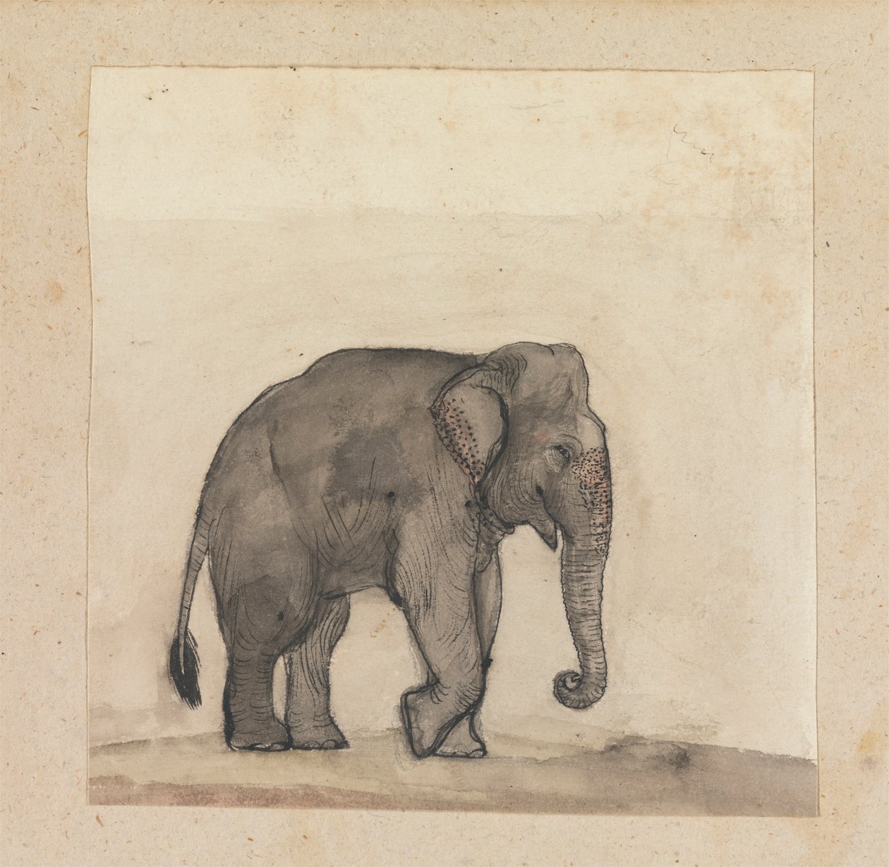 Elefante da Gangaram Chintaman Tambat