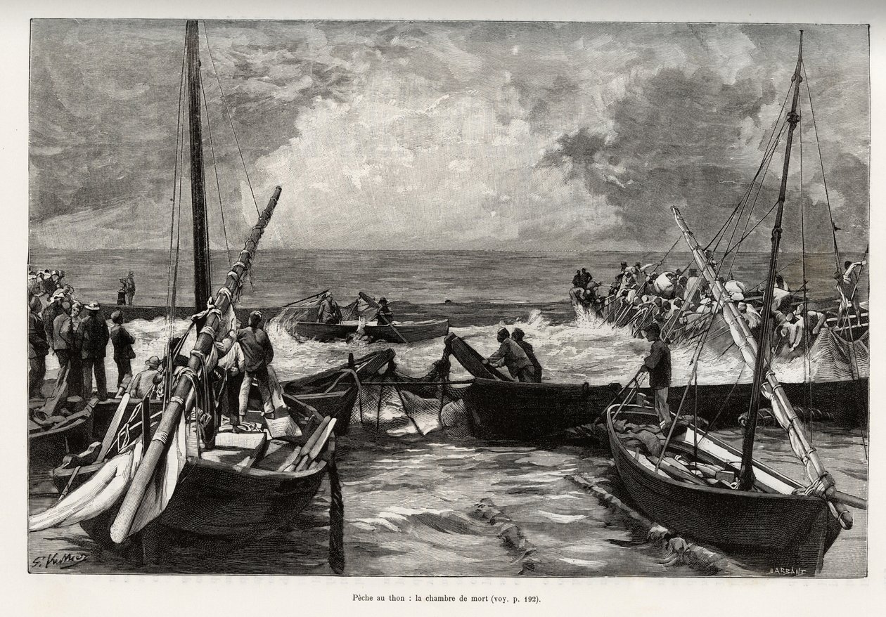 Pesca del tonno (mattanza): la camera della morte, i tonni pressati in uno spazio ristretto sono coperti dagli arpioni dei pescatori. Incisione e storia “La Sardaigne” di Gaston Vuillier (1845-1915), nel 1890, in Le tour du monde, nouveau journal des voyag da Gaston Vuillier