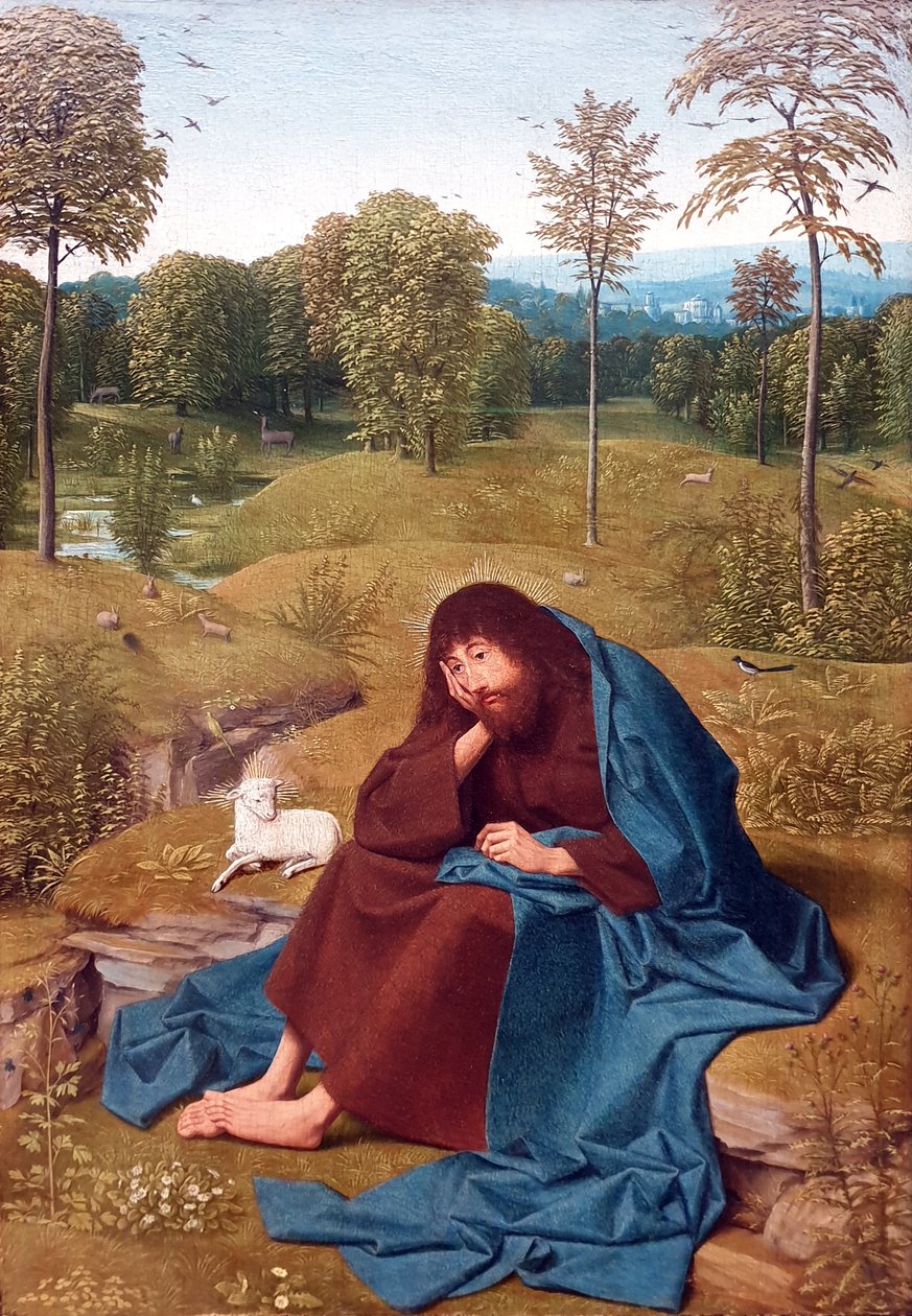 Giovanni Battista nel deserto da Geertgen Tot sint Jans