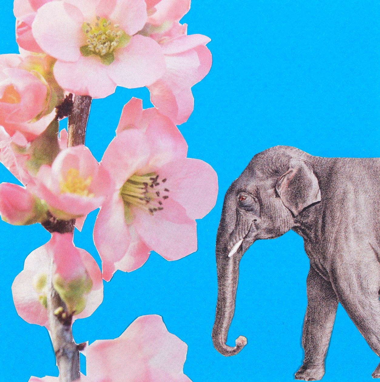 Elephant Blossom, 2018, collage da Genevieve French