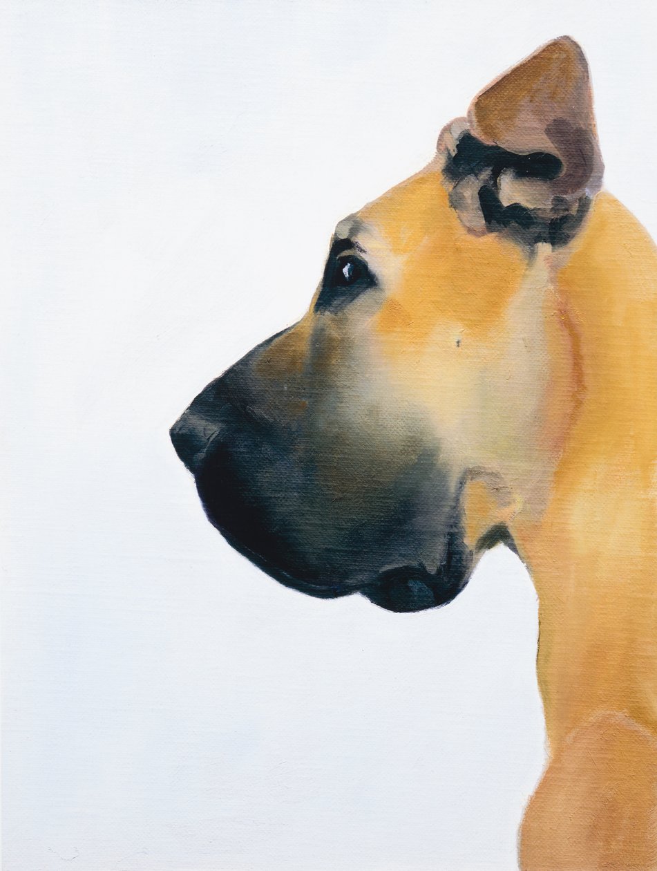 Alano, 2016 (olio su tavola) da Genevieve French