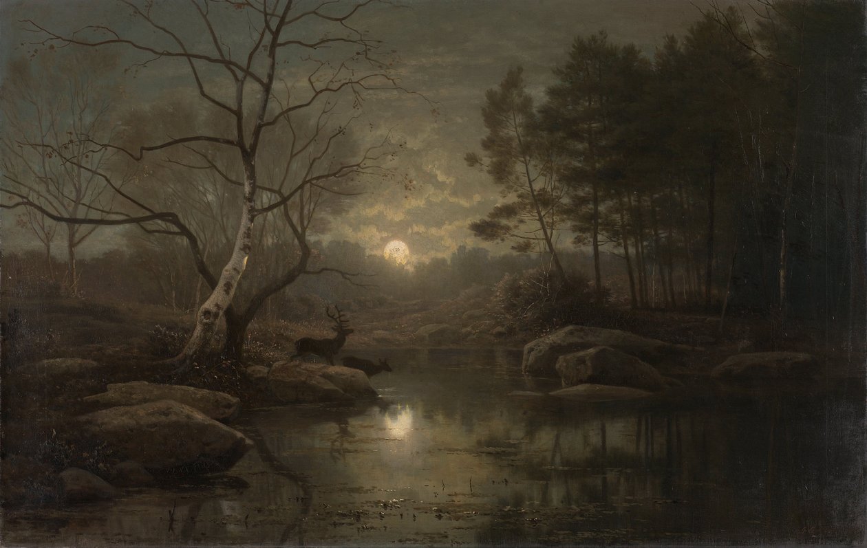 Paesaggio boschivo al chiaro di luna da Georg Eduard Otto Saal