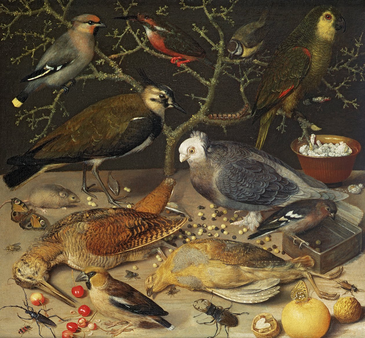 Natura morta di uccelli e insetti, 1637 da Georg Flegel