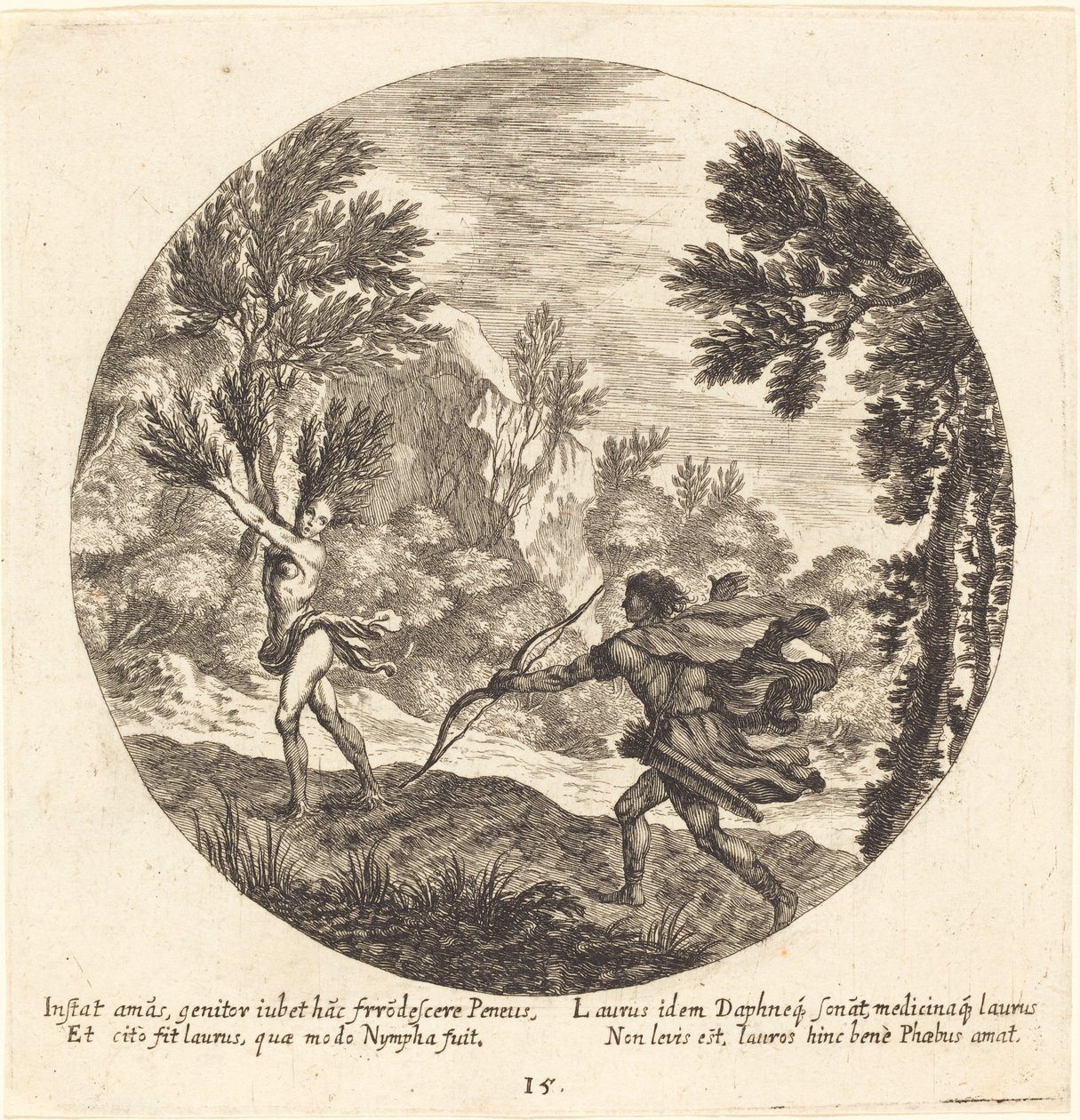Dafne si trasforma in alloro da Georg Andreas Wolfgang the Elder
