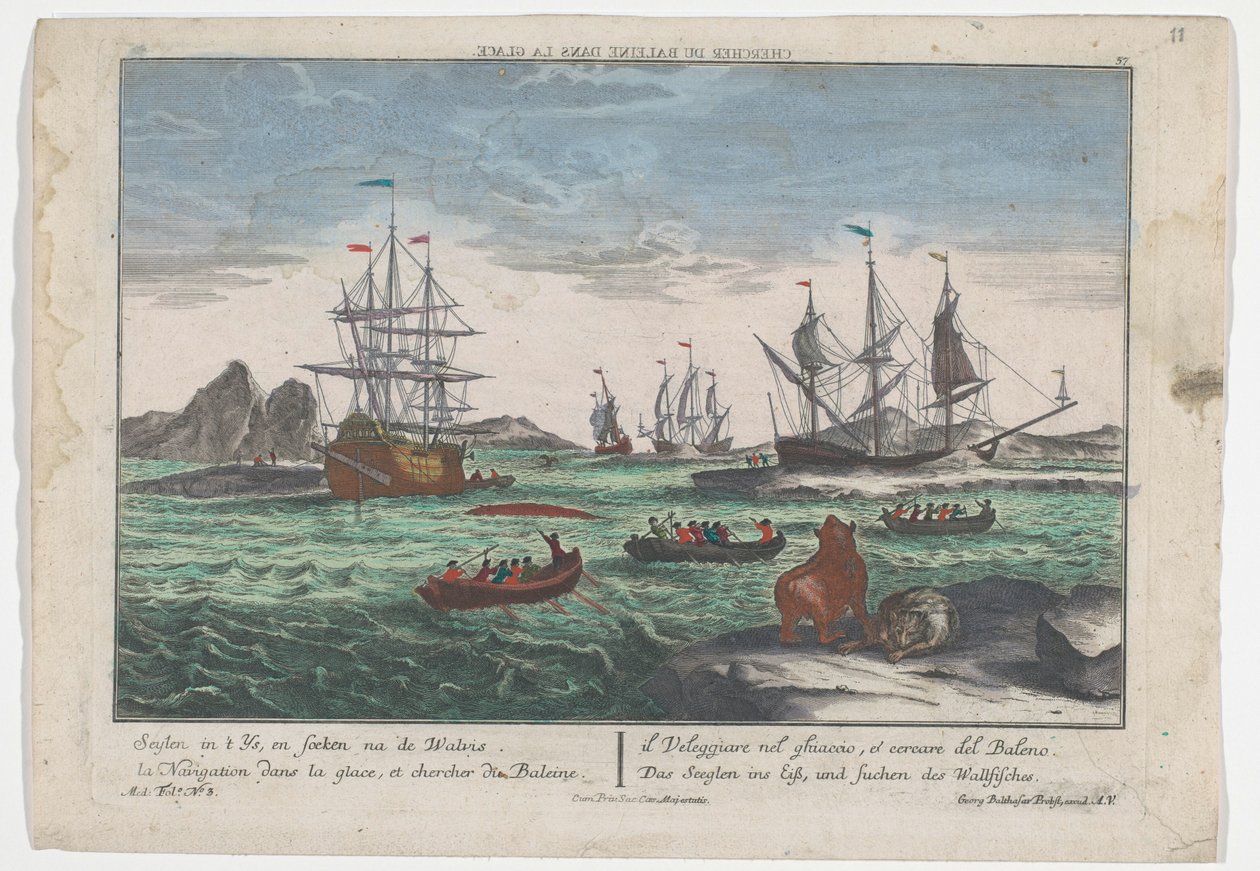 Vista della caccia alle balene da Georg Balthasar Probst