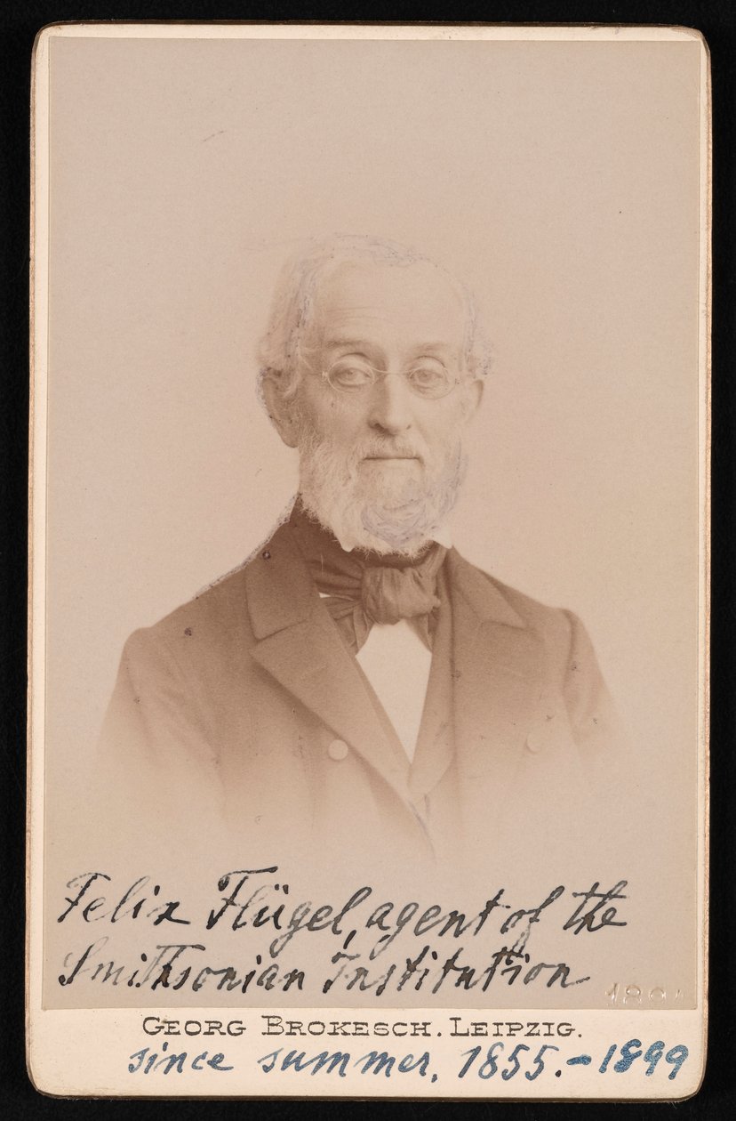 Ritratto di Felix Flugel da Georg Conrad Adolph Brokesch