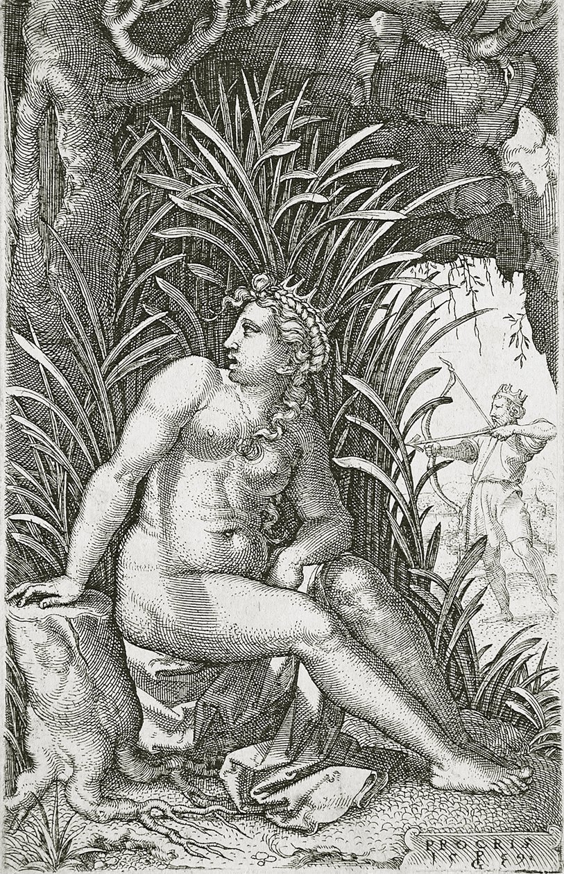 Procri uccisa da Cefalo da Georg Pencz
