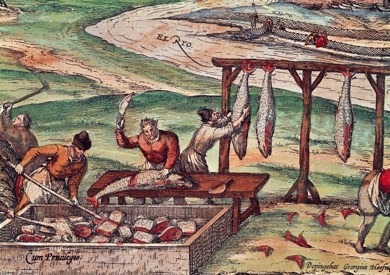 Lavorazione del tonno (miniatura da Civitates Orbis Terrarum di Georg Braun e Franz Hogenberg) da Georg Braun and Hogenberg Franz
