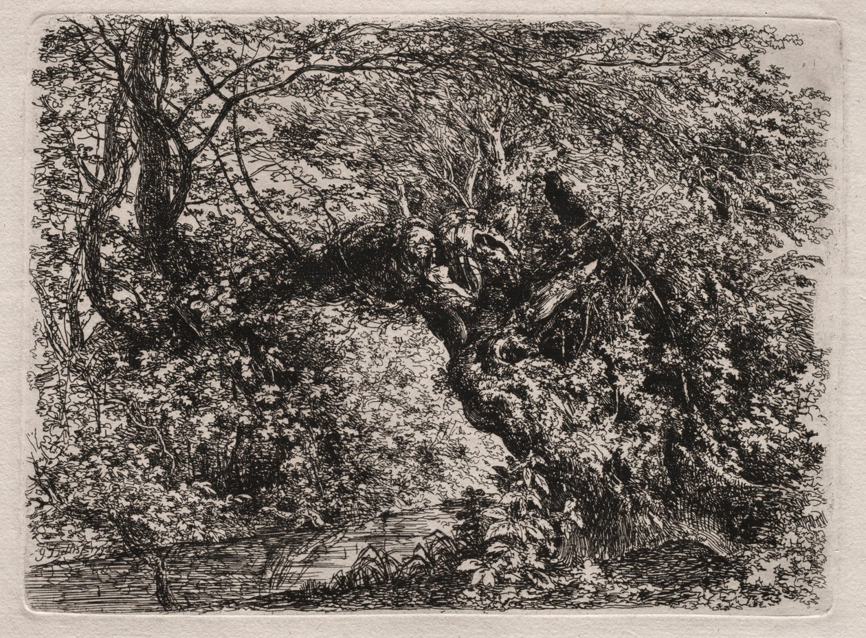 Il Vecchio Salice a un Ruscello, 1794 da Georg von Dillis