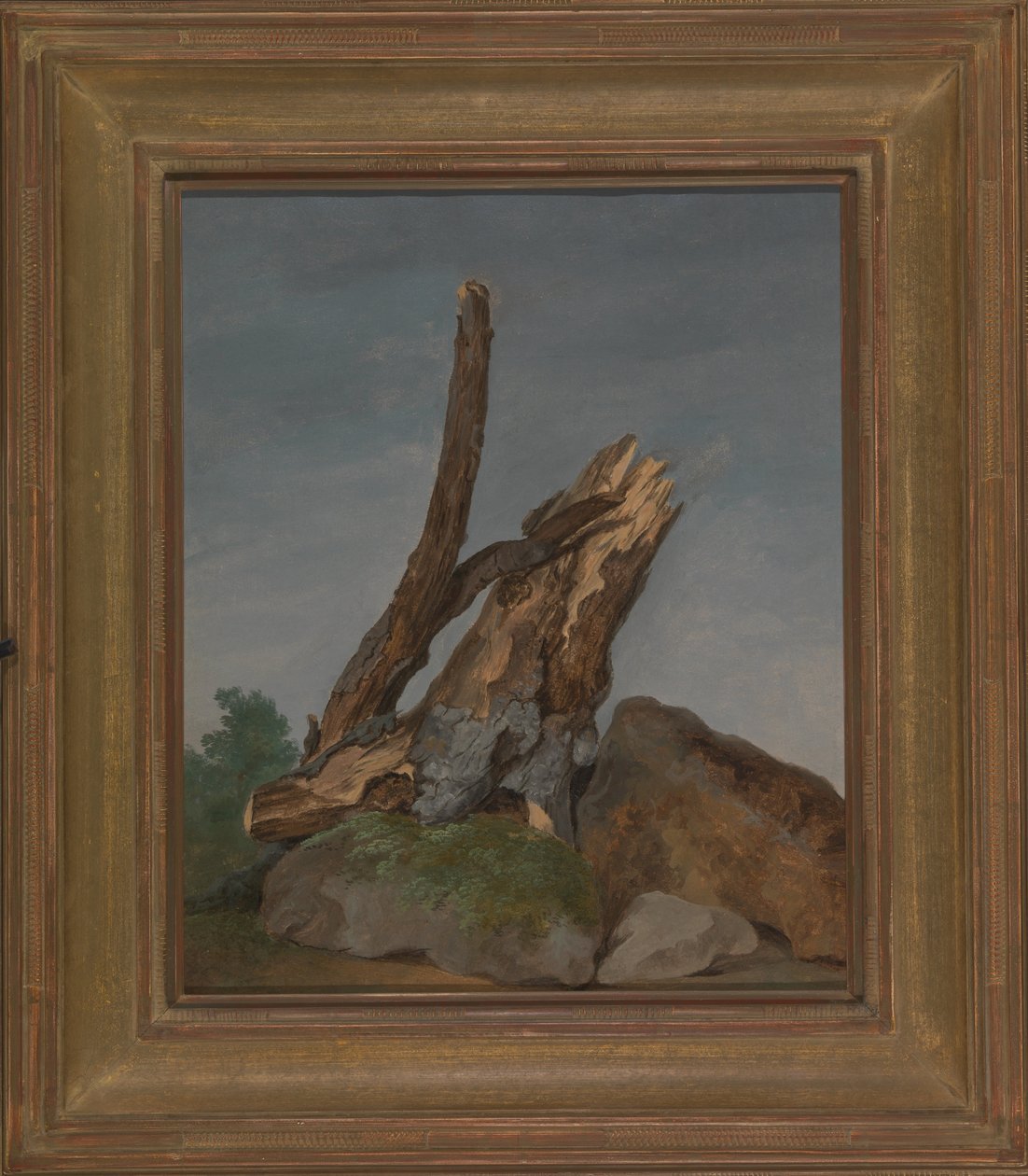 Studio di rocce e rami da George Augustus Wallis