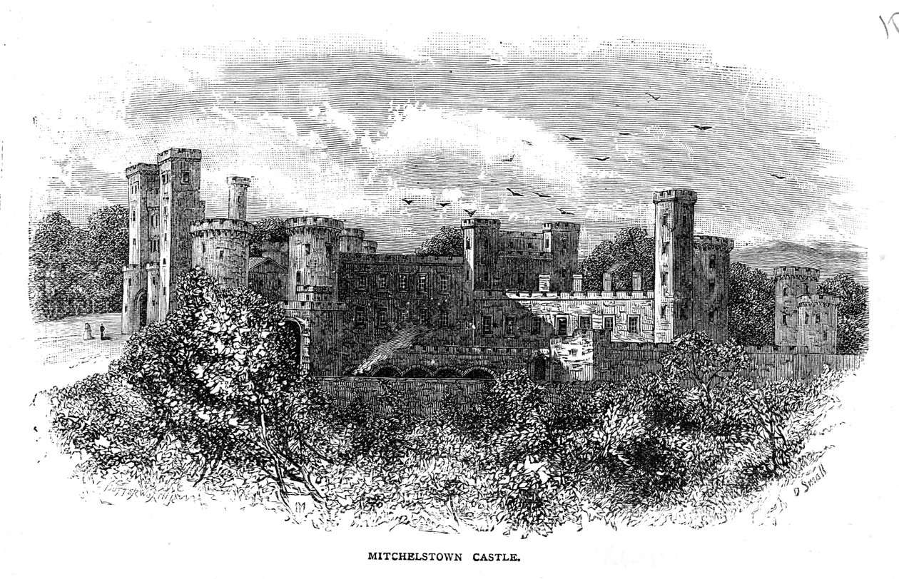 Castello di Mitchelstown, inciso da D. Small da George Butterworth
