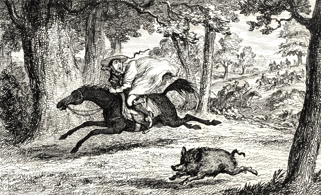 Il cardinale Giovanni di Belue che insegue un cinghiale, illustrazione da 