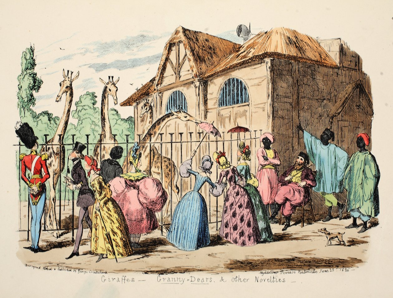 Giraffe - Nonna Dears e altre novità, pub. 1886 da George Cruikshank
