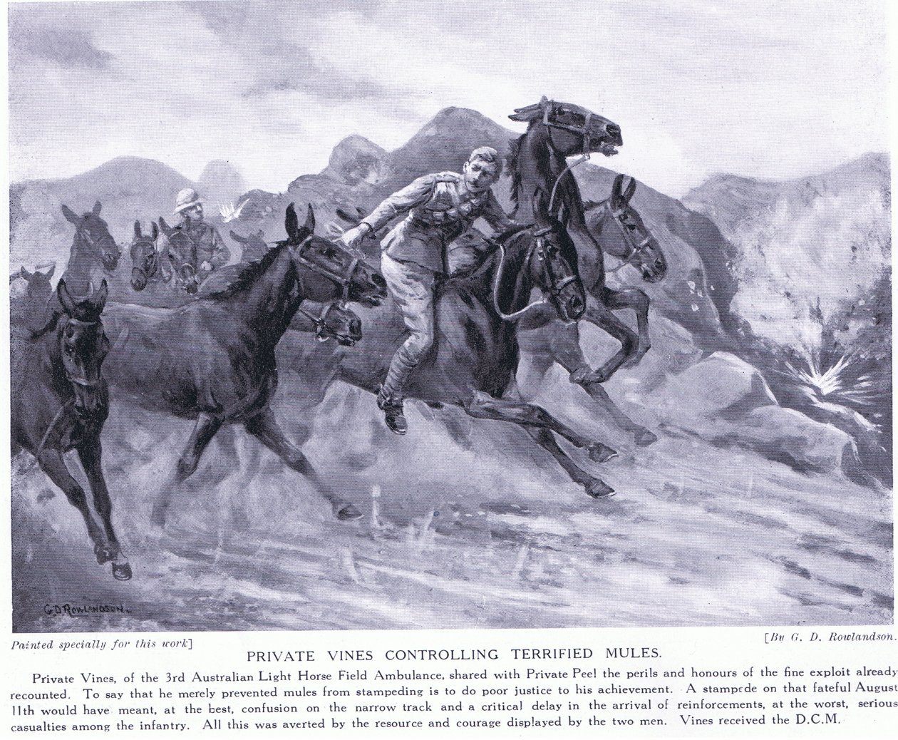 Il soldato Vines premiato con la DCM per aver controllato muli terrorizzati, agosto 1915 da George Derville Rowlandson