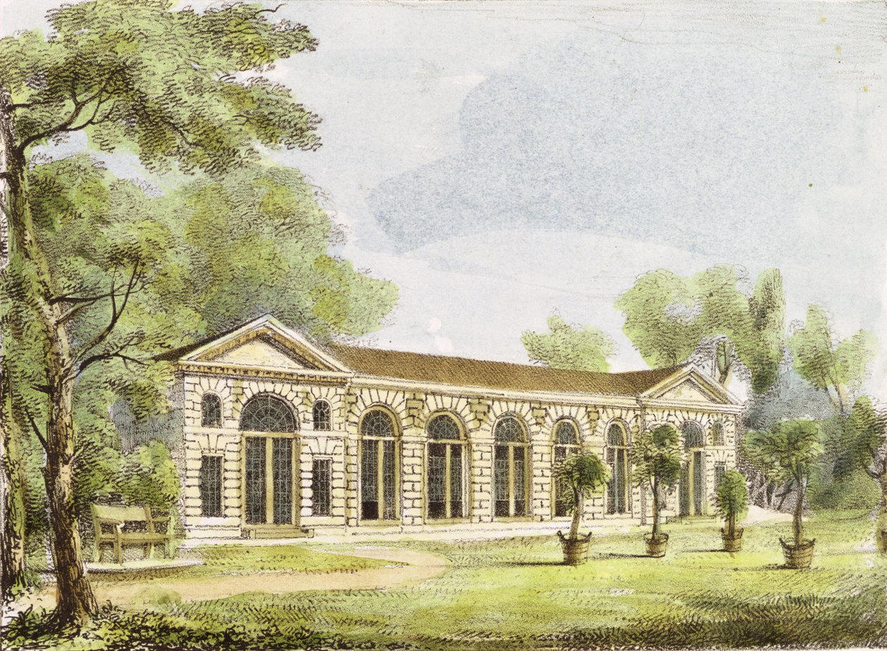Orangerie, Kew Gardens, tavola 11 da 