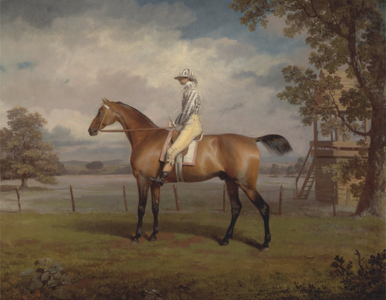 Ritratto di un cavallo da corsa, possibilmente Disguise, proprietà del Duca di Hamilton, con fantino da George Garrard