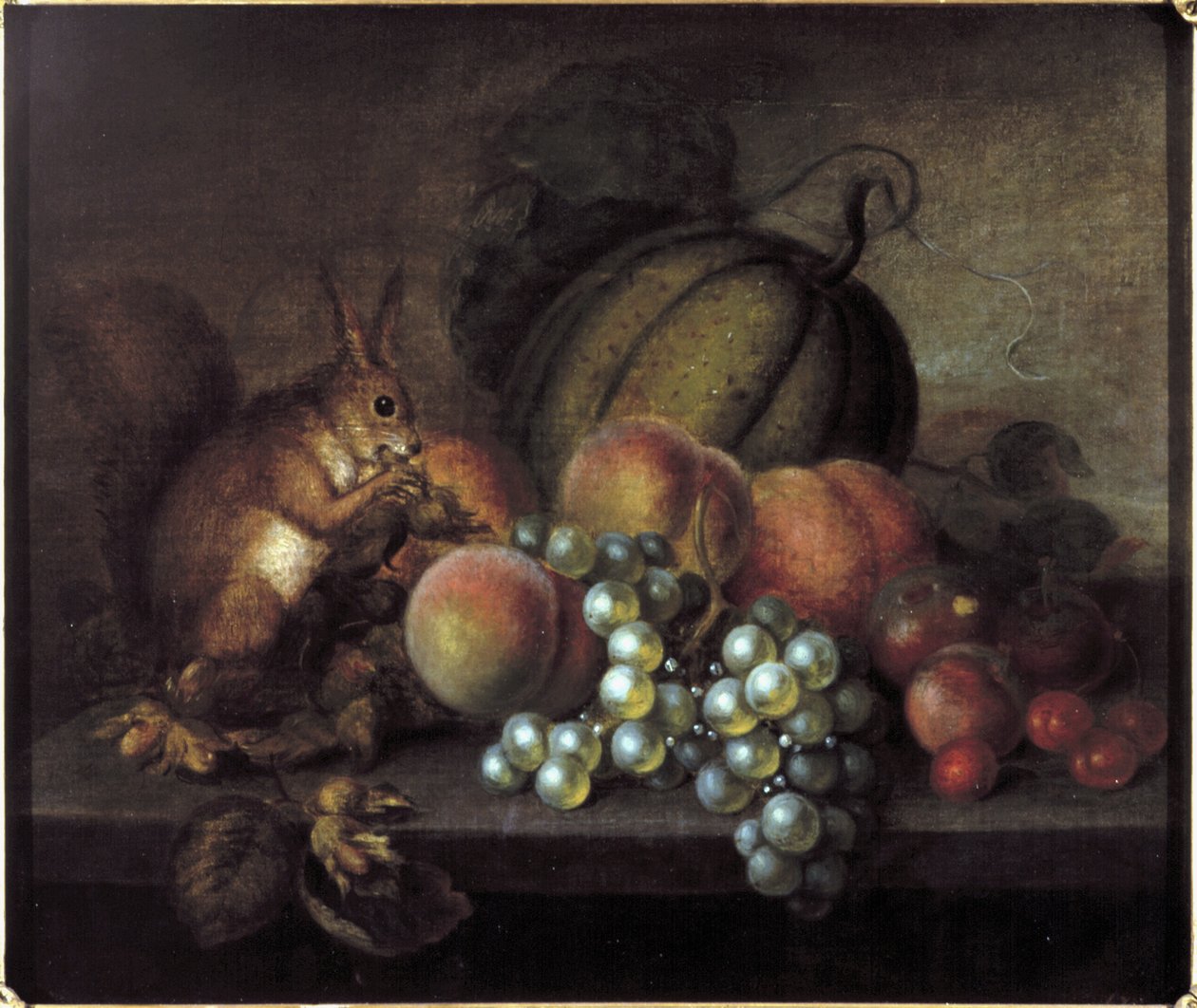 Studio di frutta con scoiattolo da George Gray