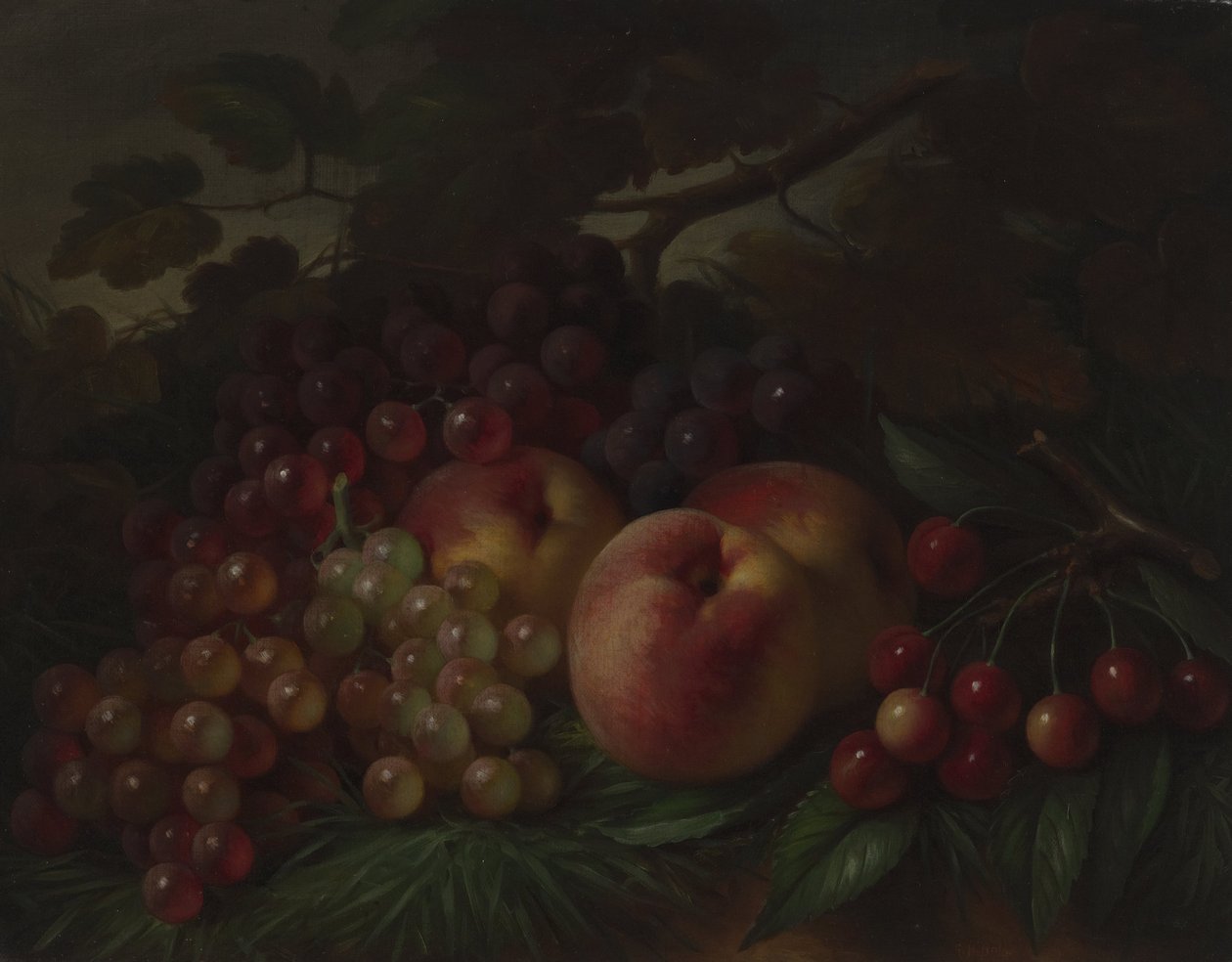 Pesche, uva e ciliegie da George Henry Hall