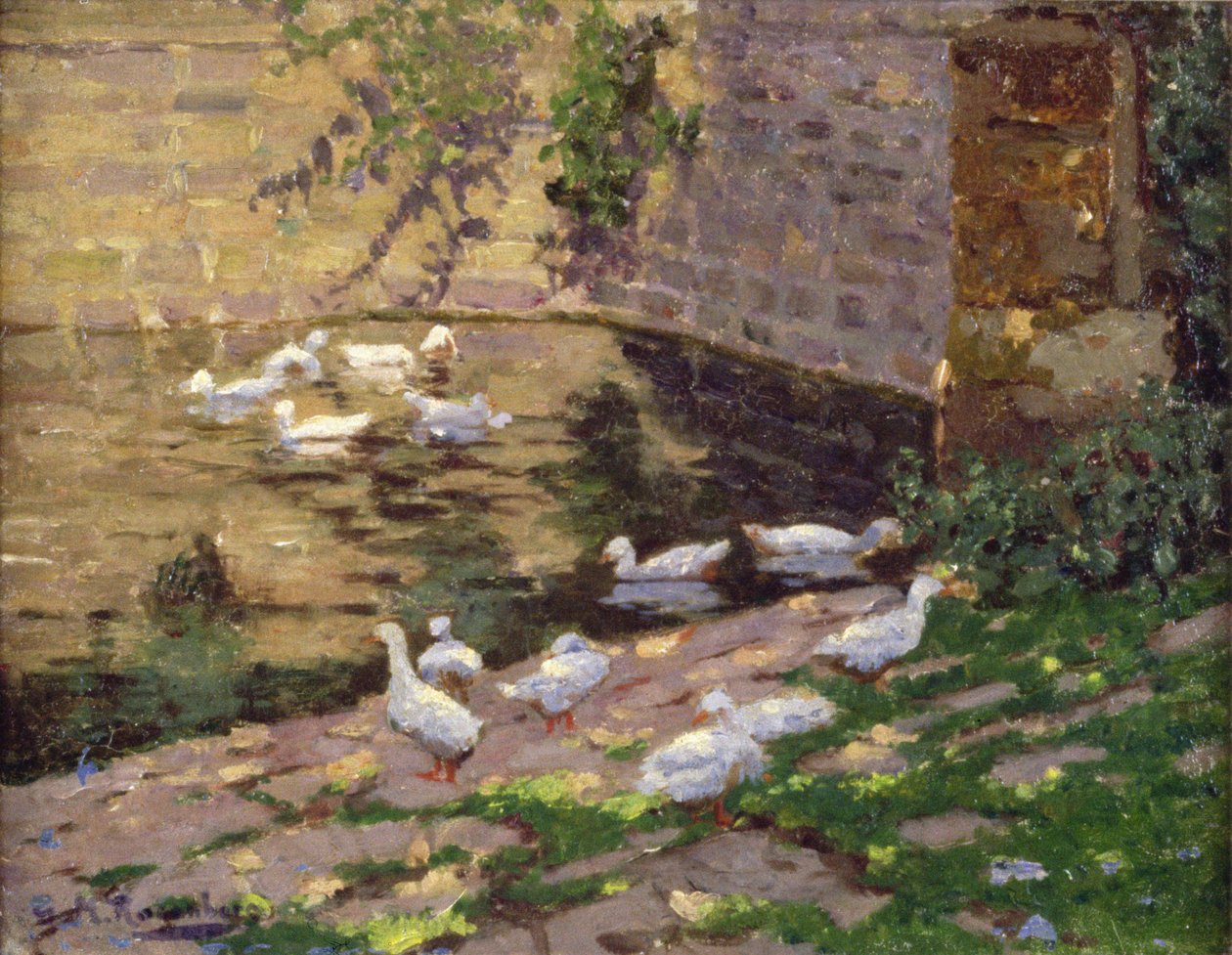Anatre in uno stagno da George Rosenberg